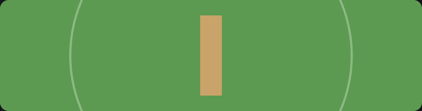 Flat illustration of a cricket oval with the pitch strip, used as a section header.